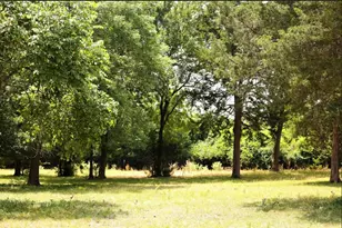 3439 S 271 Fm 271, Bonham, TX 75418 - Photo 34