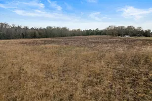 2332 Co Rd 2212, Pittsburg, TX 75686 - Photo 1