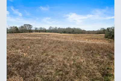 Tbd County Road 2212, Pittsburg, TX 75686 - Photo 2