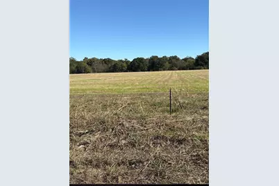 Lot 3 County Rd 2130, Telephone, TX 75488 - Photo 4