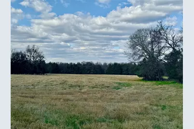 29 Acres County Road 2400, Pickton, TX 75471 - Photo 1