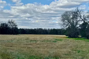 29 Acres County Road 2400, Pickton, TX 75471 - Photo 1