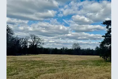 29 Acres County Road 2400, Pickton, TX 75471 - Photo 8