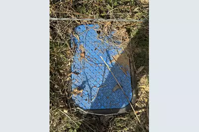 29 Acres County Road 2400, Pickton, TX 75471 - Photo 10