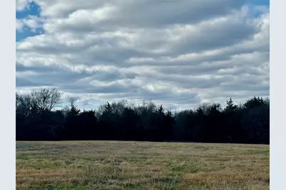 29 Acres County Road 2400, Pickton, TX 75471 - Photo 6