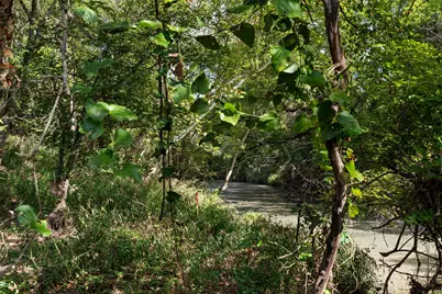 2740 Overton Court, Granbury, TX 76048 - Photo 8