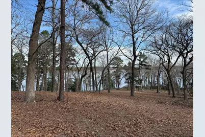 3268 Shadow Pine Drive, LaRue, TX 75770 - Photo 6