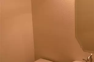 317 Trakehner Trail, Celina, TX 75009 - Photo 28