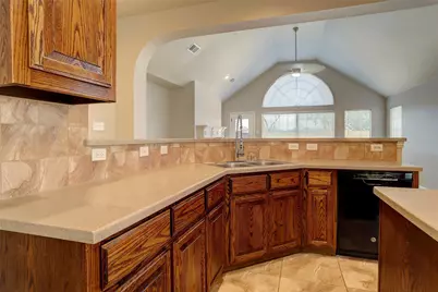 6723 Lee Meadow Drive, Frisco, TX 75035 - Photo 12