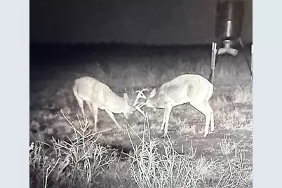 1044 County Road 3230, Windom, TX 75492 - Photo 40