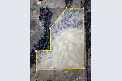 Tbd County Rd 1119, Brashear, TX 75420 - Photo 1