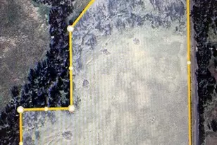 Tbd County Rd 1119, Brashear, TX 75420 - Photo 1