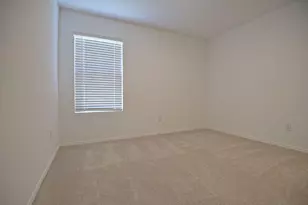 14133 Aberavon Dr, Pilot Point, TX 76258 - Photo 10