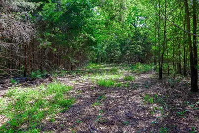 Tbd Fm 859, Canton, TX 75103 - Photo 12