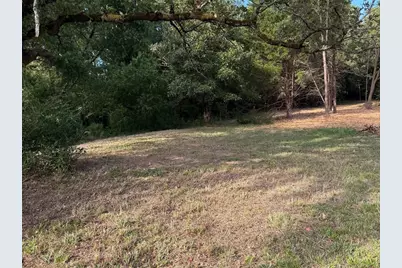 Tbd Fm 859, Canton, TX 75103 - Photo 4