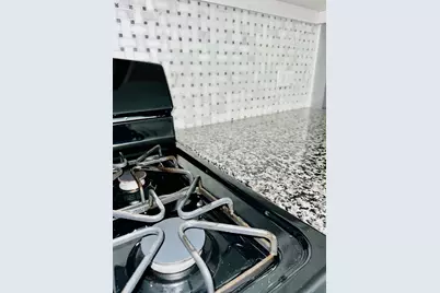 1407 Cherry Bark Drive, Princeton, TX 75407 - Photo 8