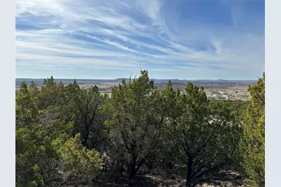 1397 Canyon Wren South Loop, Graford, TX 76449 - Photo 2