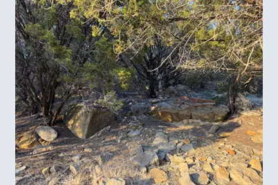 1397 Canyon Wren South Loop, Graford, TX 76449 - Photo 4