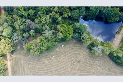 Tbd Cr 2737-1, Naples, TX 75568 - Photo 4