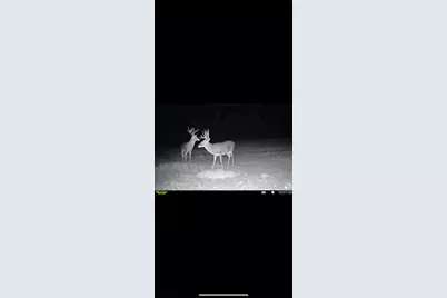 Tbd Cr 2737-1, Naples, TX 75568 - Photo 18