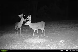 Tbd Cr 2737-1, Naples, TX 75568 - Photo 18