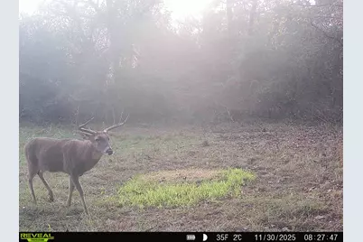 Tbd Cr 2737-1, Naples, TX 75568 - Photo 24