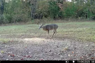 Tbd Cr 2737-1, Naples, TX 75568 - Photo 20