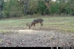 Tbd Cr 2737-1, Naples, TX 75568 - Photo 22