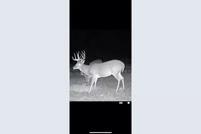 Tbd Cr 2738, Naples, TX 75568 - Photo 12