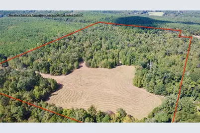 Tbd Cr 2738, Naples, TX 75568 - Photo 4