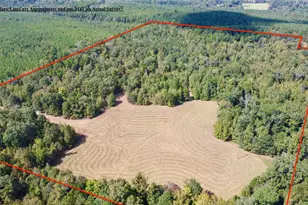 Tbd Cr 2738, Naples, TX 75568 - Photo 4