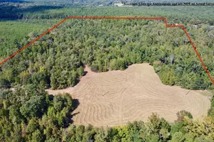 Tbd Cr 2738, Naples, TX 75568 - Photo 2