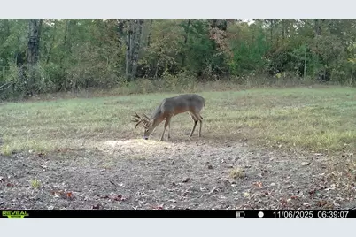 Tbd Cr 2738, Naples, TX 75568 - Photo 18