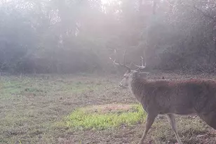 Tbd Cr 2738, Naples, TX 75568 - Photo 20