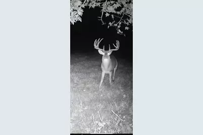 Tbd Cr 2738, Naples, TX 75568 - Photo 14