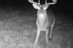 Tbd Cr 2738, Naples, TX 75568 - Photo 14