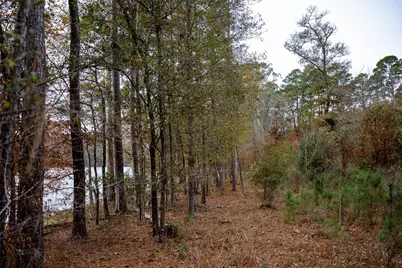 00 County Road 1211, Center, TX 75935 - Photo 10