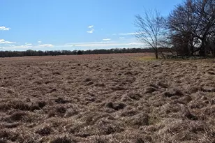 16674 FM148, Scurry, TX 75158 - Photo 4