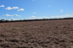 16674 FM148, Scurry, TX 75158 - Photo 6