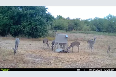 14725 Highway 183 N, Haltom City, TX 76857 - Photo 34