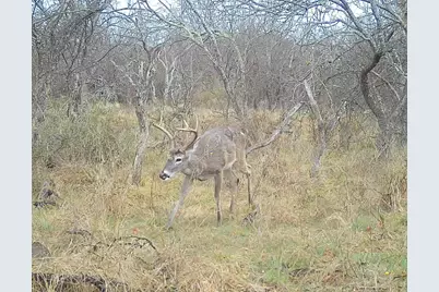 14725 Highway 183 N, Haltom City, TX 76857 - Photo 36