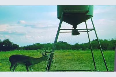 14725 Highway 183 N, Haltom City, TX 76857 - Photo 38