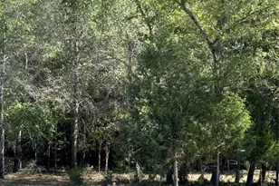 2924 Co Rd 1403, Malakoff, TX 75148 - Photo 6