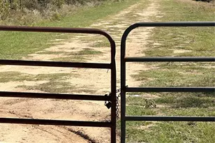 2924 Co Rd 1403, Malakoff, TX 75148 - Photo 10