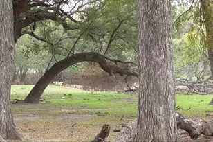 Tract 1 County Road 208, Lampasas, TX 76550 - Photo 20