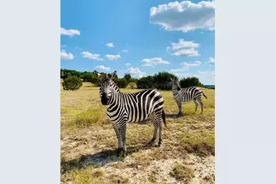 Tract 1 County Road 208, Lampasas, TX 76550 - Photo 4