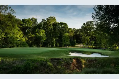 136 Leo Palace Lane, Gordonville, TX 76245 - Photo 12