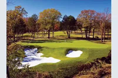 136 Leo Palace Lane, Gordonville, TX 76245 - Photo 2