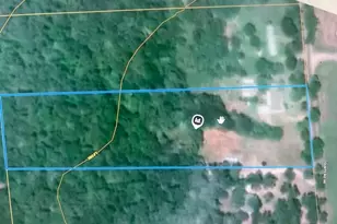 385 Co Rd 161, Streetman, TX 75859 - Photo 38