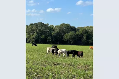 764 County Road 3422, Bynum, TX 76631 - Photo 1